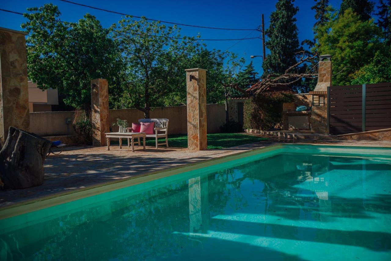 Pool And Sea View Apartments Agia Marina  Екстер'єр фото
